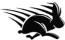 Rapido Financial LLC