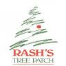 Rash's Tree Patch