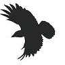 Raven Painting & Renovations