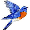 Robin's Bookkeeping & Taxes