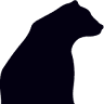 Robin G. Black CPA