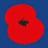 Lancing and Sompting Royal British Legion Club