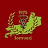 Brazilian Journal of Veterinary Medicine
