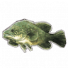 Redgate Fish Farm