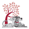 Redgum Vet & Pet Boarding