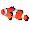 Reef Bar Aquarium Services