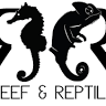Reef and Reptile Company