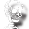 Reilly Orthopaedic Surgery