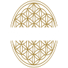 Rejuvenate 528 Regenerative Aesthetics Medical Spa