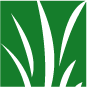 SMA - RelvaSintetica.Com