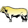 Renard Blonde Cattle