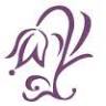 Renee's Day Spa & Salon