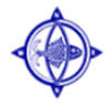 Rentadora Caribe