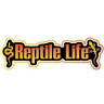 Reptile Life