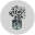 Retreat Crassula Ovata