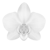 RTMedSpa
