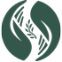 Revive Chinese Massage