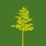 Rex Lumber LLC