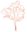 Rhubarb Botanicals