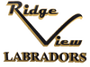 Ridge View Labradors