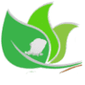 Lombok Green Nature Tour