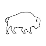 Rio Buffalo Outfitter