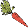 Rise Up Community Farm