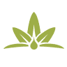 RiverBluff Collective