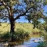 Rivergum Hair Studio