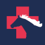 Riverina Equine Veterinary Services