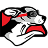 Rockford RoadDog