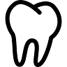 Robert P Levesque Dmd
