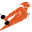 ROCKET FITNESS CENTER