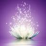 Nspired Yoga