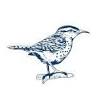 Rock Wren Hideaway