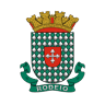 Auto Elétrica Rodeio (Elétrica Gomes) e Mecânica