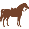 Roma Saddlery