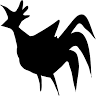 Rooster
