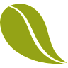 root studio