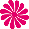 Rosa Master Conde/PB