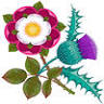 The Rose and Thistle