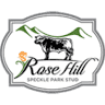 Rose Hill Speckle Park Stud