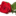 Rose Real Estate