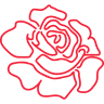 Rose Room at 220