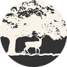Royal Oaks RV Park