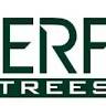 Rutherford Trees