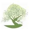 Sage Health Care, PLLC