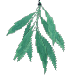 Sage Organics