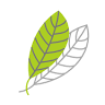 Sage Acupuncture