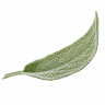 Sage Door Property Management